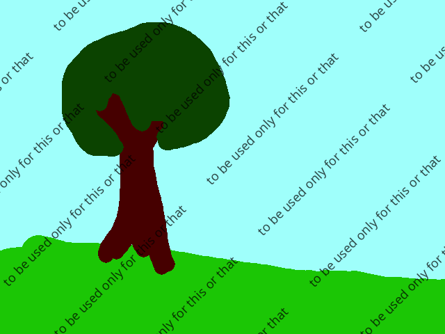 test-watermark